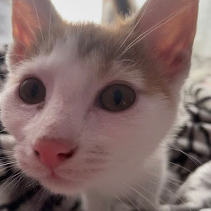 Meet your Posher, Chloe